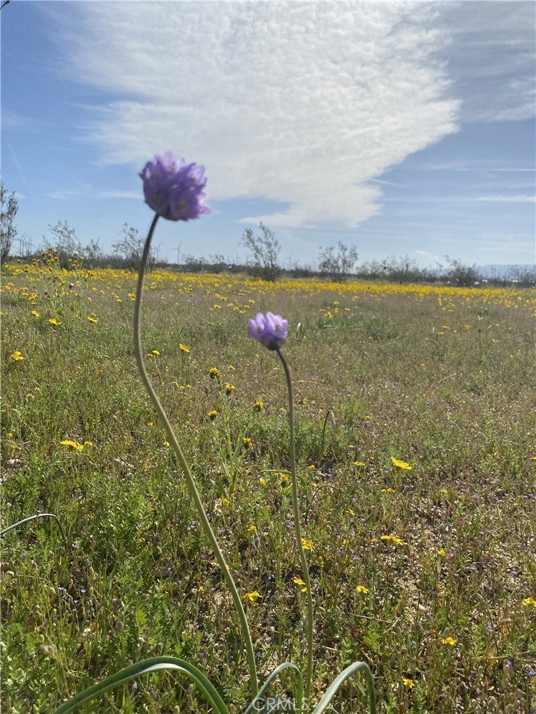 0 Vacant Land