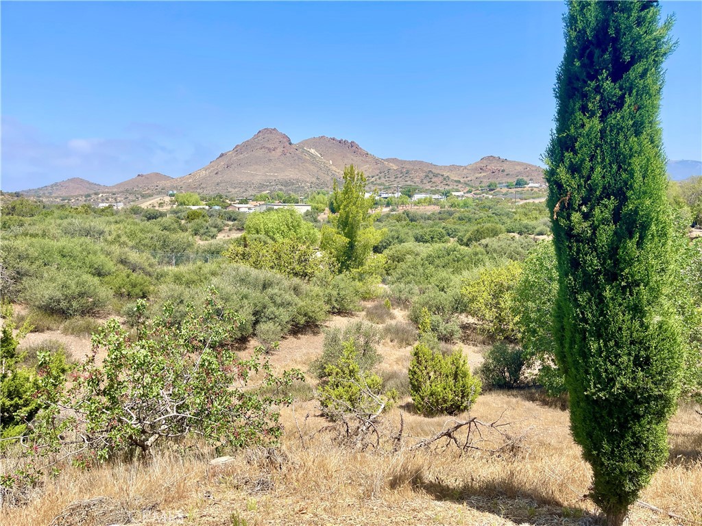 Custom Agua Dulce (CADUL) - Residential