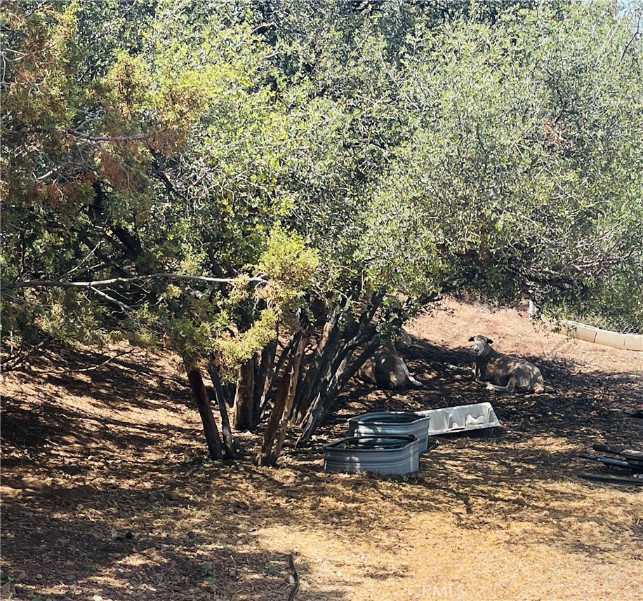 Custom Agua Dulce (CADUL) - Residential