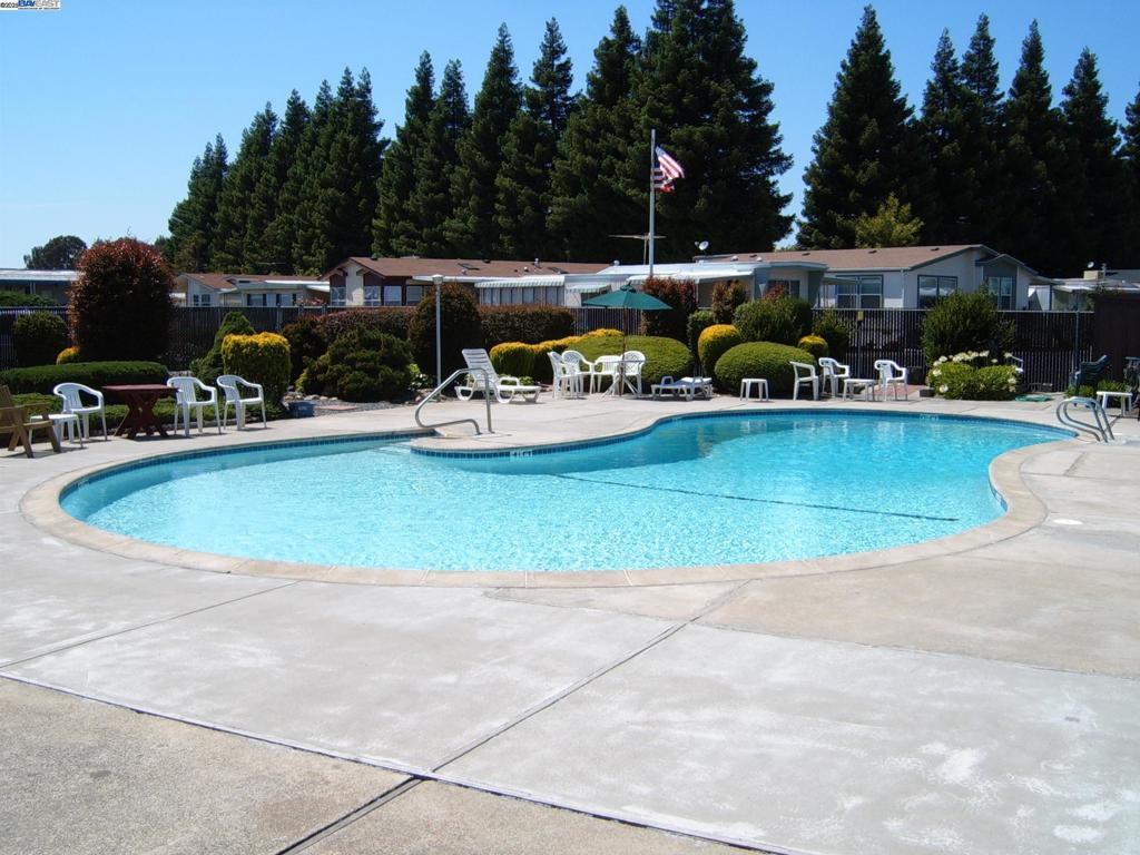 ALAMEDACOY - Manufactured In Park