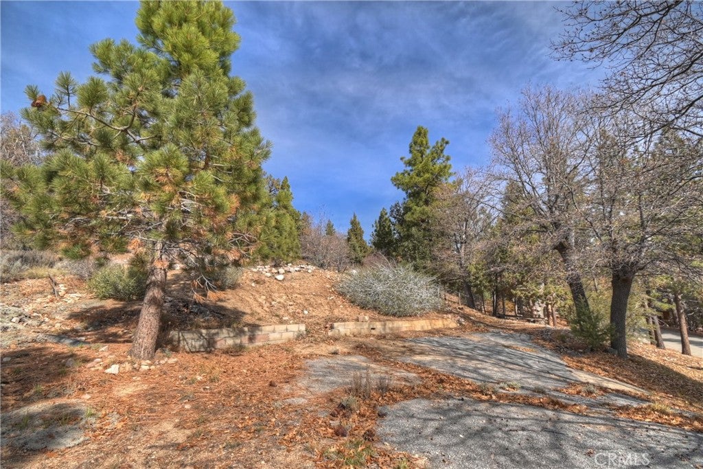 1115 Fawnskin Drive