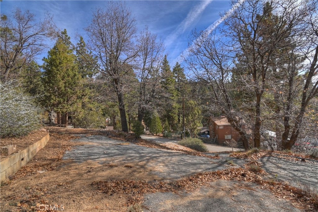 1115 Fawnskin Drive