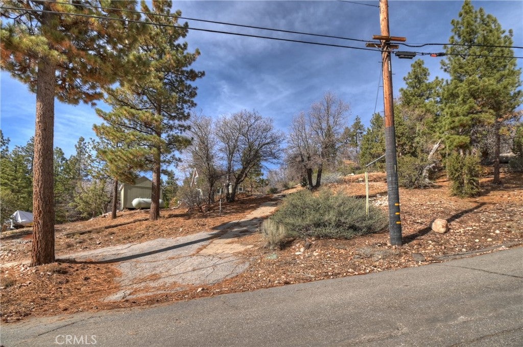 1115 Fawnskin Drive