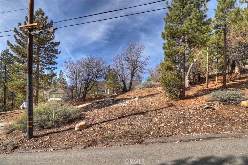 1115 Fawnskin Drive