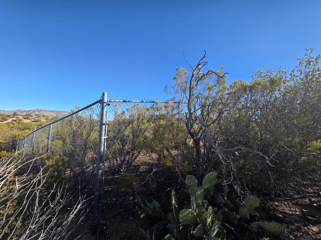 Alpine Village/Pyn P - Land