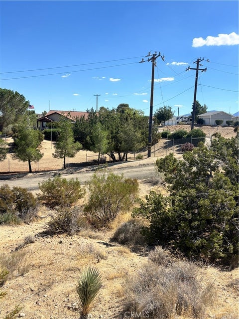 Photo of 0 Alaga, Pearblossom, CA 93553 (MLS # SR26219734)