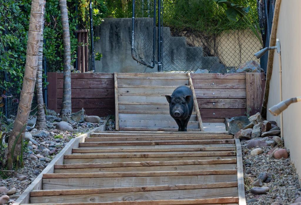 La Jolla - Residential