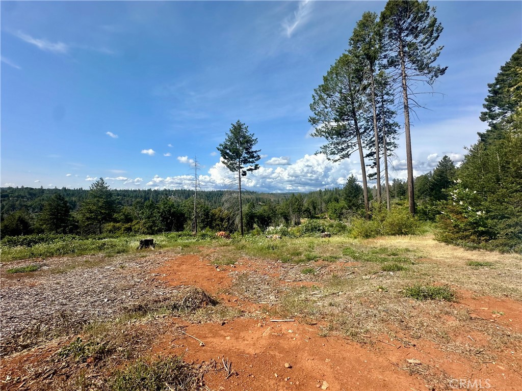 1437 Lofty Lane