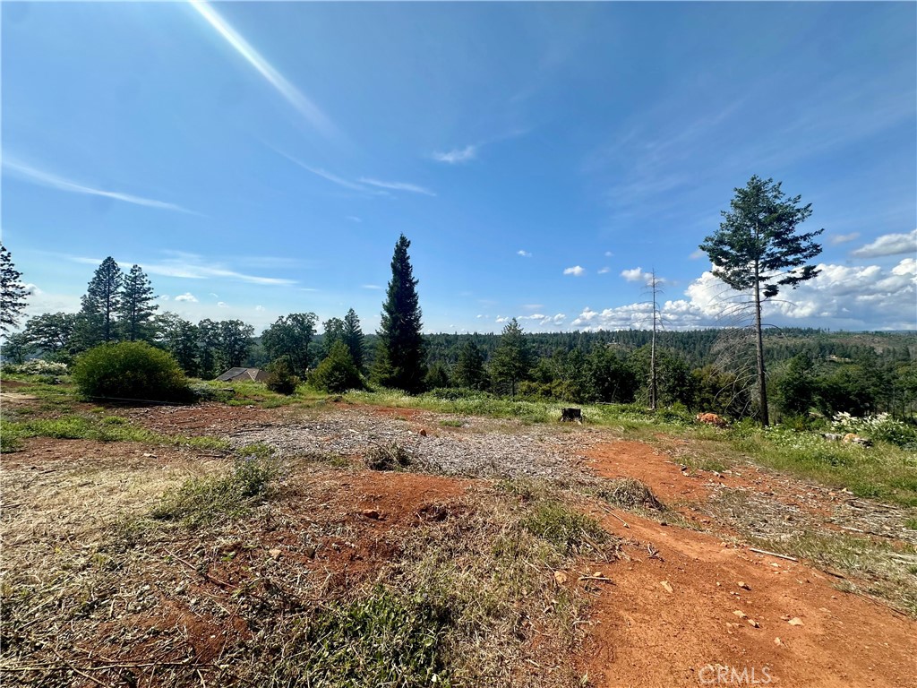 1437 Lofty Lane