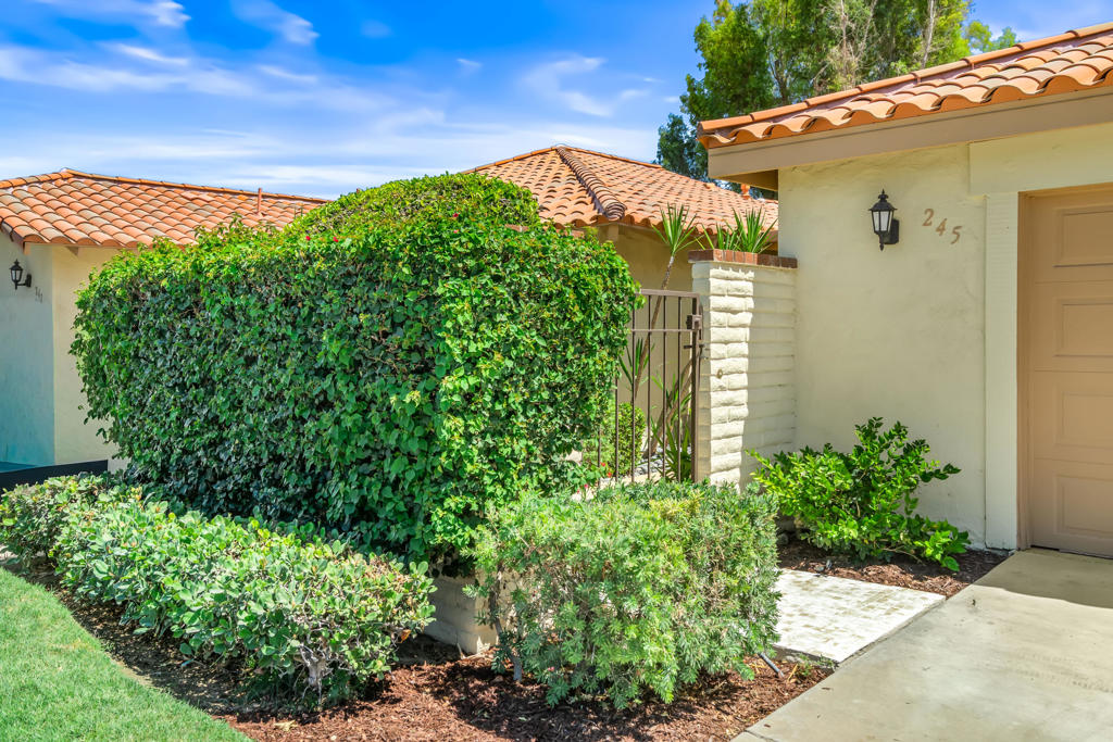 245 San Remo Street