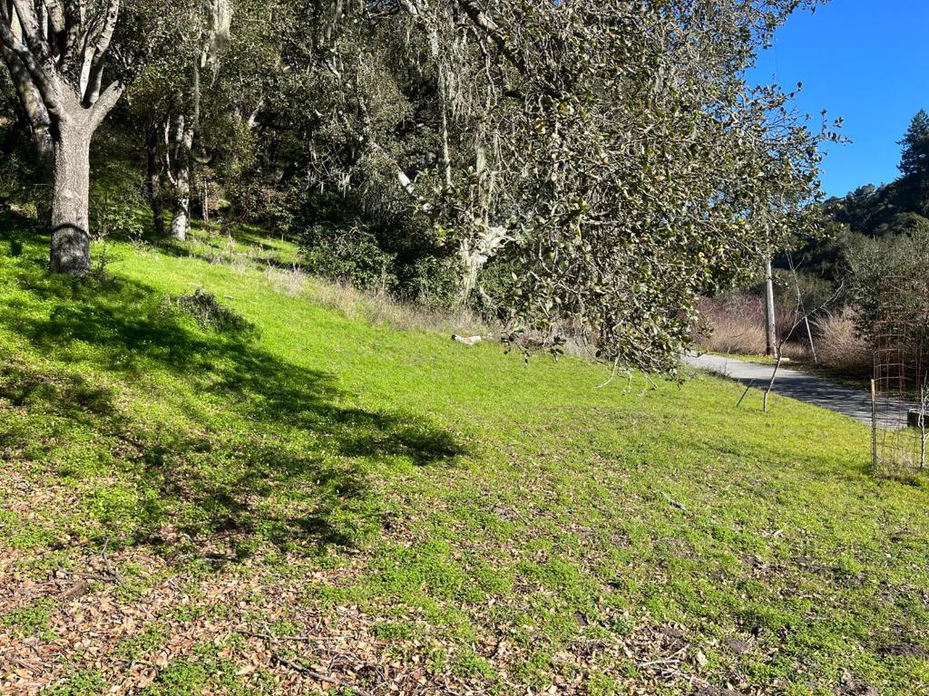 Opportunity knocks! A 2 mile drive from the heart of Aptos Village brings you to this easily accessed parcel of almost 10 acres in a quiet enclave of tastefully designed homes. Realizing your rural dream will be a breeze: an approved building envelope, water supply, electricity and high speed internet via fiber or cable available at the lot line, substantial paved parking, water storage tank and a fenced and nicely terraced garden area are already in place here. Zoning allows a primary residence of any size and an accessory dwelling of up to 1200 square feet, subject to county approval, of course. Stunning forest and valley views, no through traffic and an uncommonly peaceful setting are yours to enjoy. The vibrant atmosphere of nearby Aptos Village includes landmark businesses New Leaf Market, Mentone restaurant, Penny Ice Creamery, Cat and Cloud Coffee and dozens more. Just past the village, Aptos Beach Road brings you miles of sand at Rio Del Mar State Beach. Or a turn up Aptos Creek Road offers the iconic hiking and biking of Nisene Marks State Park. This rare land offering provides you a chance to dwell in nature without remote and isolated living. Seize it!