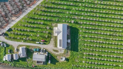 Photo of 7760 Byron Hwy, Byron, CA 94514 (MLS # 41122907)