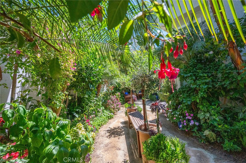 25068 El Carrizo