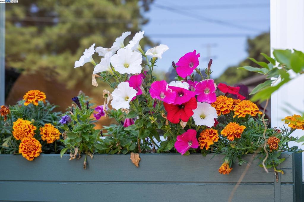 NORTH BERKELEY - Residential