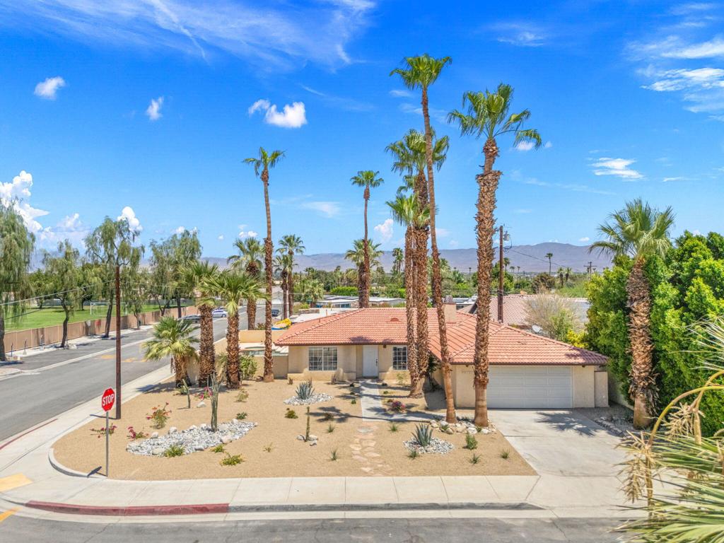 74142 Peppergrass Street
