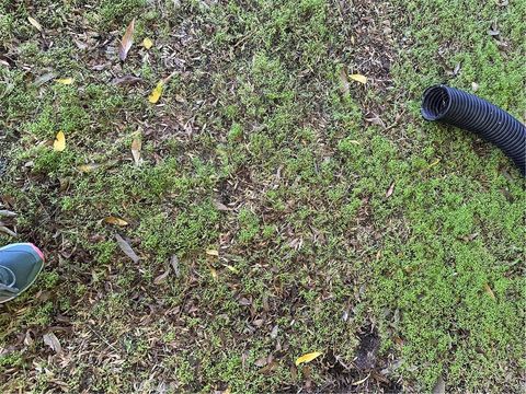 4327 CAMELLO ROAD Woodland Hills CA 91364