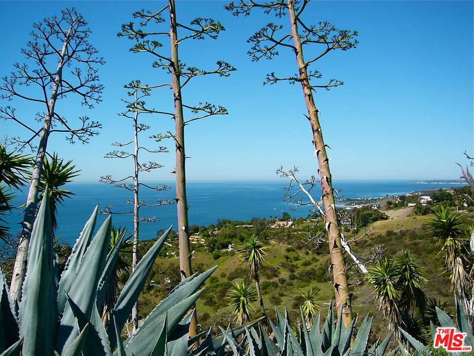 Rambla Pacifico - Land