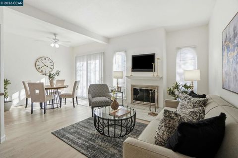 1255 Detroit Ave 3 Concord CA 94520