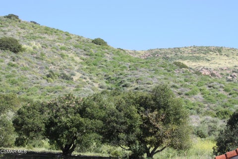 Tiny photo for 1149 Itamo Street, Camarillo, CA 93012 (MLS # 226001007)