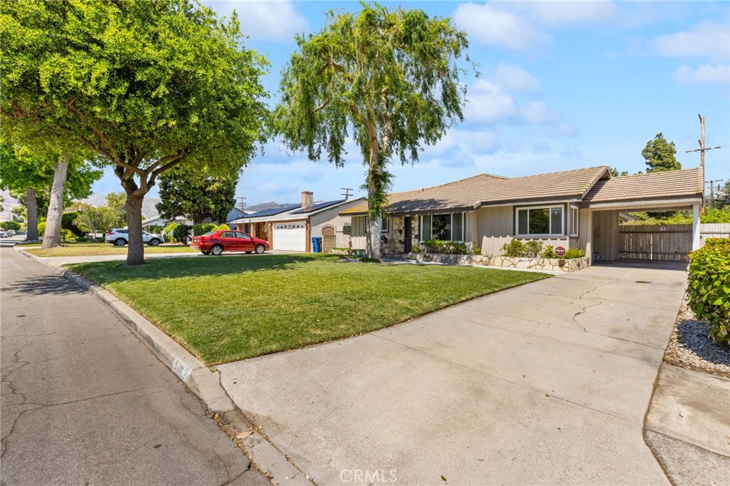 5602 Persimmon