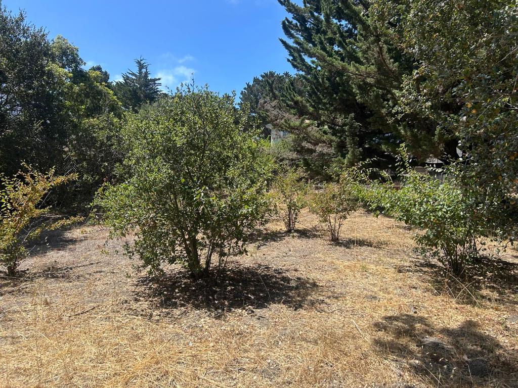 26046 Highway 1