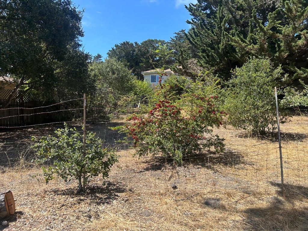 26046 Highway 1