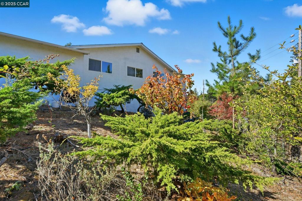 CAMINO WOODS - Residential