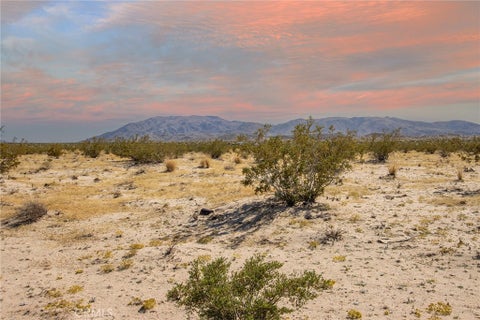 Photo of 3333 El Passeo, 29 Palms, CA 92277 (MLS # JT25255739)