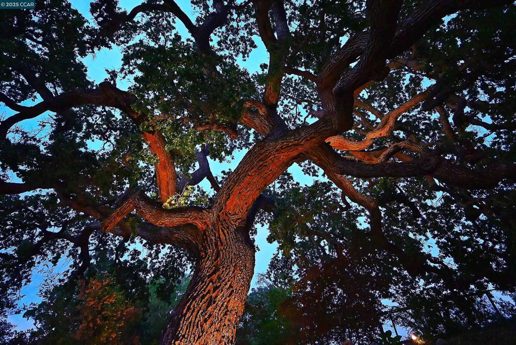 RELIEZ HIGHLANDS - Residential