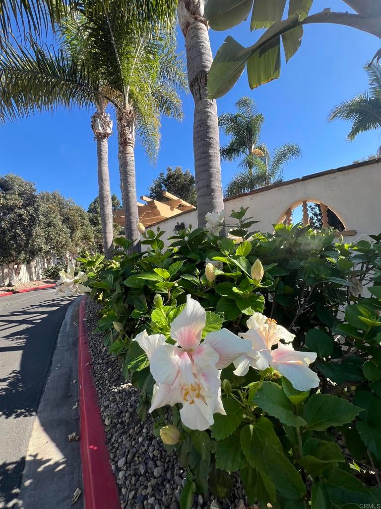 4241 Loma Riviera Lane, San Diego CA 92110