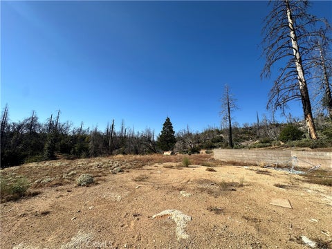 Photo of 77 Justamere Lane, Berry Creek, CA 95916 (MLS # OR26209249)