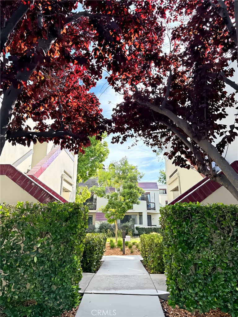 546 Shorebird Circle 26201