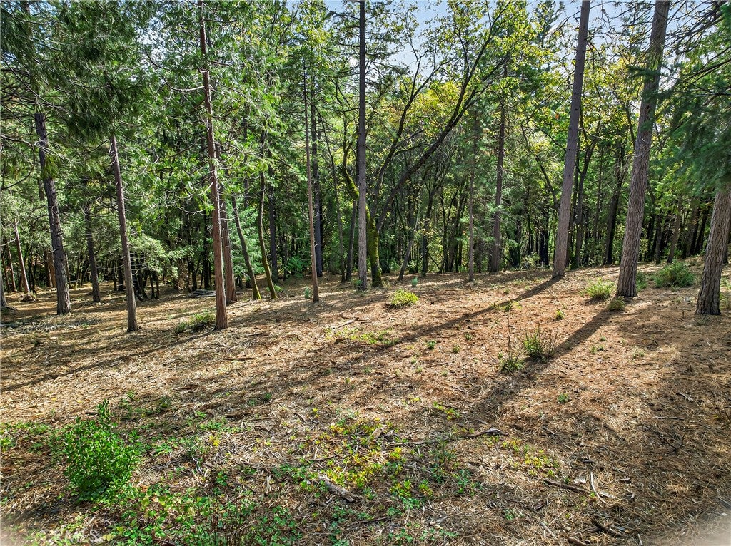 0 Cedar Creek
