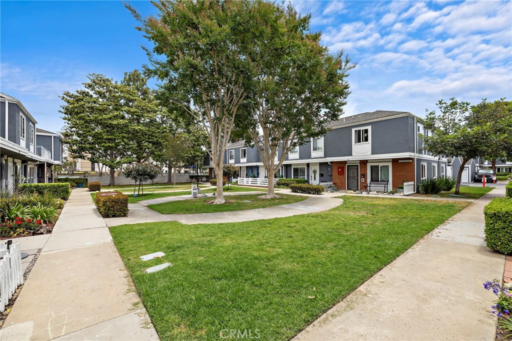 115 Morristown