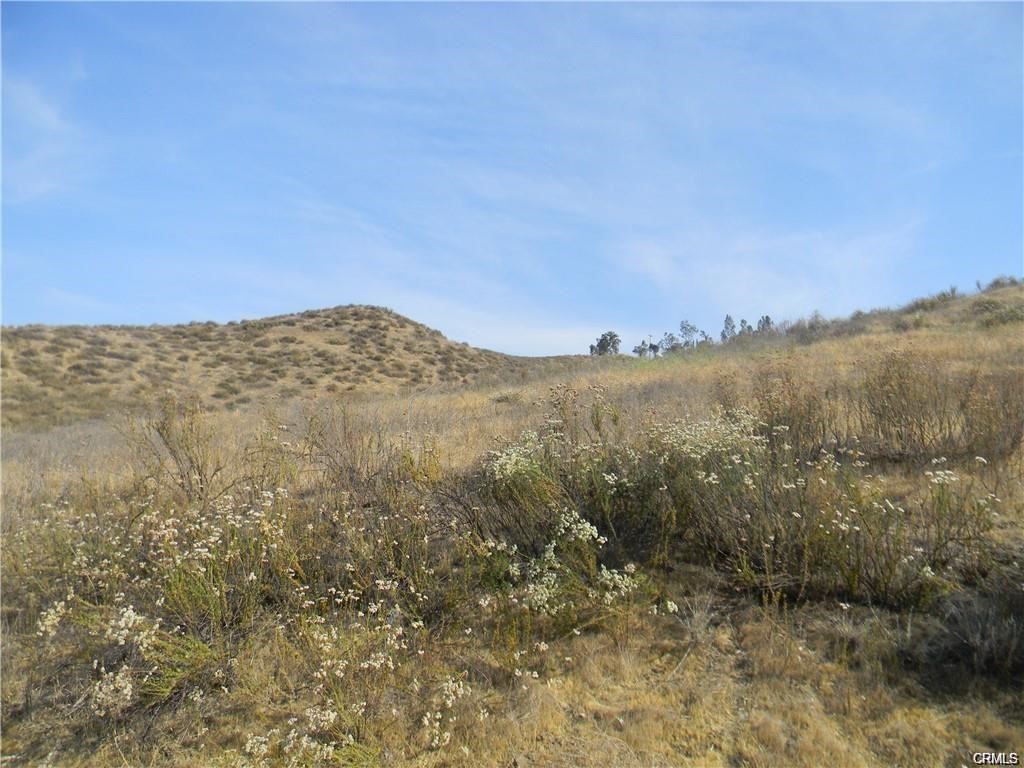 A small lot great for future investment. You would need another lot next door to build. Buyer and Buyers agent to do their due diligence. Water and sewer are in the street. Seller is motivated to sell.