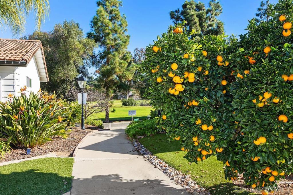 Rancho Bernardo - Residential