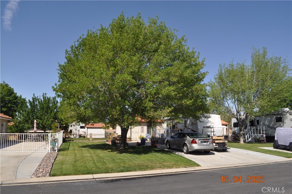 11624 Ridgemark Road
