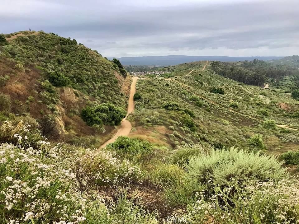 El Dorado (ELDO) - Residential