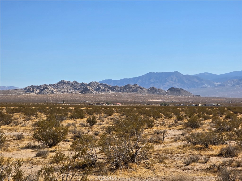 BEAUTIFUL unspoiled 20 ACRES of desert land near the famous Cougar Buttes with 360 degree views. Mostly paved road. Seller says the corners are marked. What a great playground or ranch location! Zoned LV/RL. Priced to sell. Don't Wait!