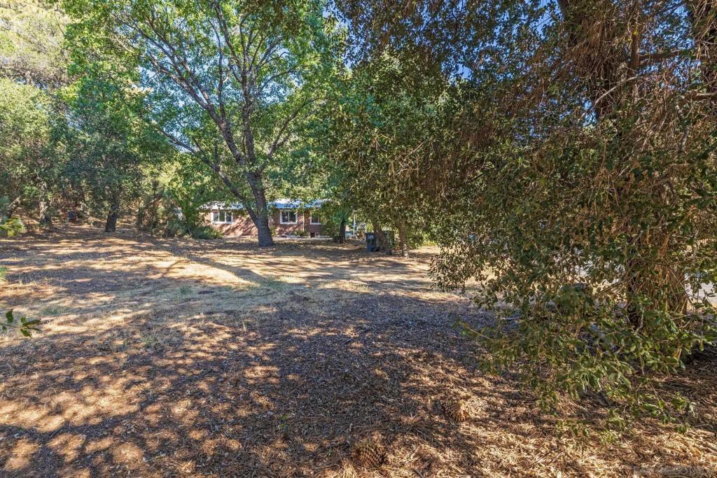 3221 Dolores Dr