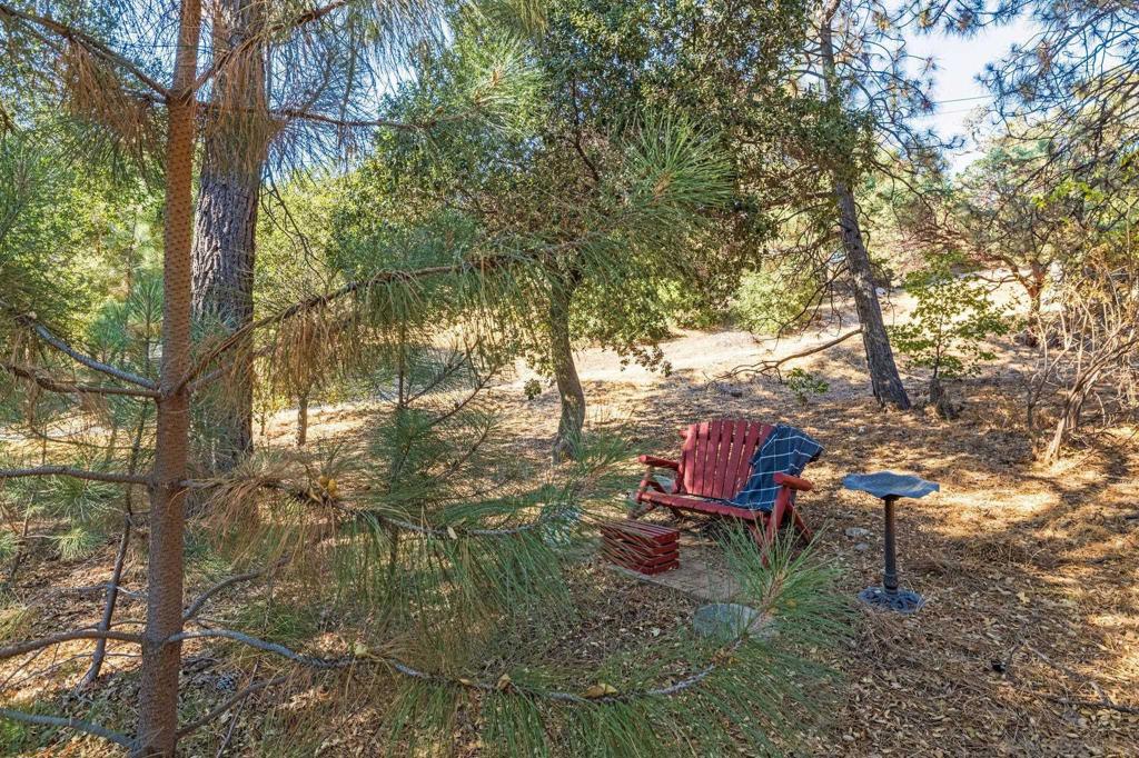 3221 Dolores Dr