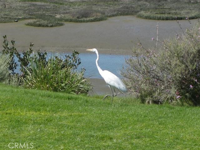 Bluffs Original (BORI) - Residential Lease