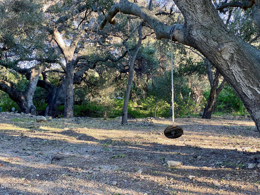 Ojai: Other - Residential Lease