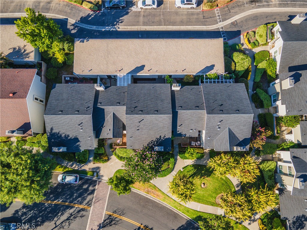 32 Goldenbush