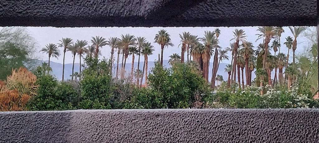Desert Village - Residential