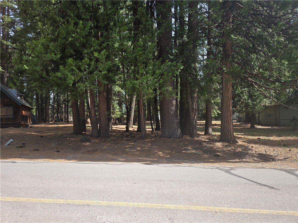 716 Conifer