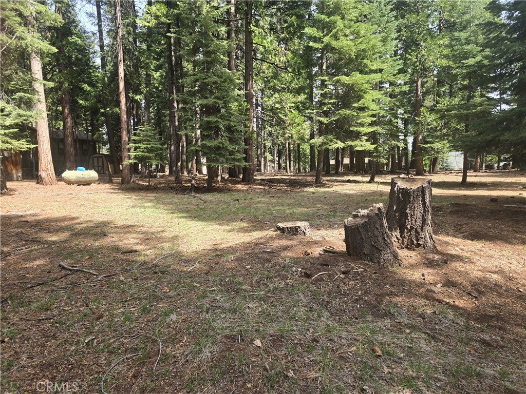 716 Conifer