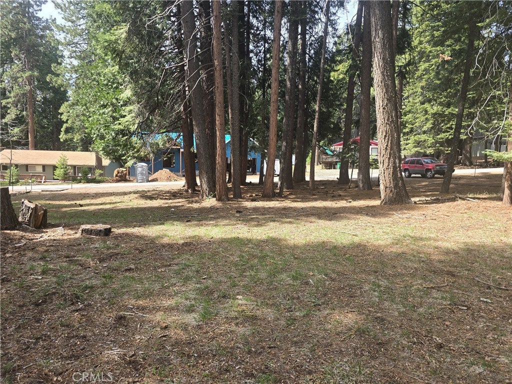 716 Conifer