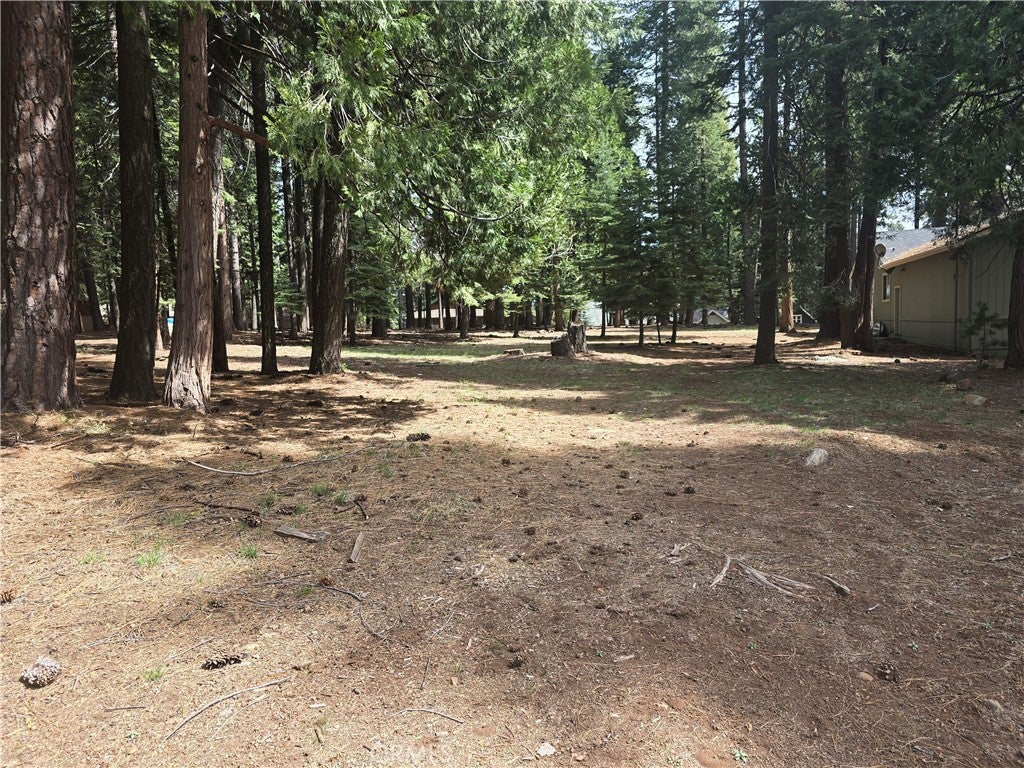 716 Conifer