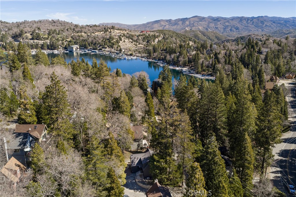 28989 Palisades